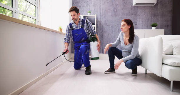 Trusted Whetstone, AZ Pest control Experts